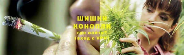 spice Алексин