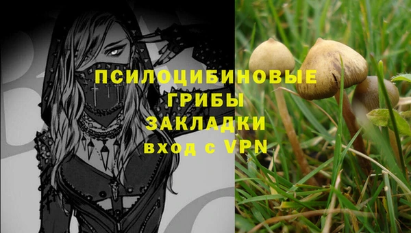 каннабис Алзамай