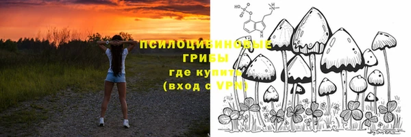 ECSTASY Алексеевка