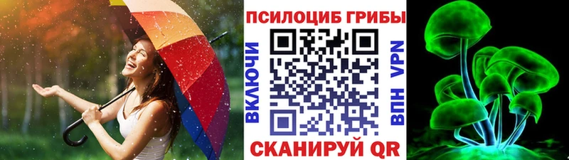 Галлюциногенные грибы ЛСД  mega ссылка  Ливны  купить наркотики сайты 